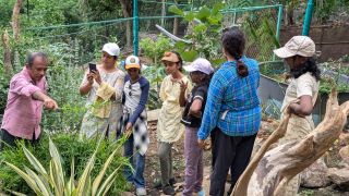 Nature Connect - Vacation Workshop